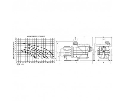 Насос Gemas STREAMER 2010, 100M 1 HP, 1~, 230В/50 Гц, 18 м3/час (H-10 м), 1,19  кВт