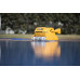 Робот пылесос для бассейна DOLPHIN WAVE 100       